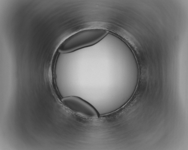 X0000110740936200906290945