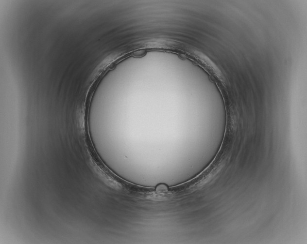 X0000110740938200906290945