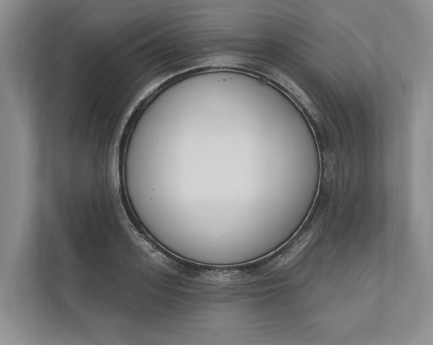 X0000110740939200906290945