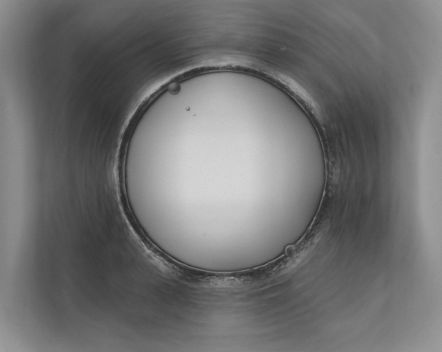 X0000110740943200906290945