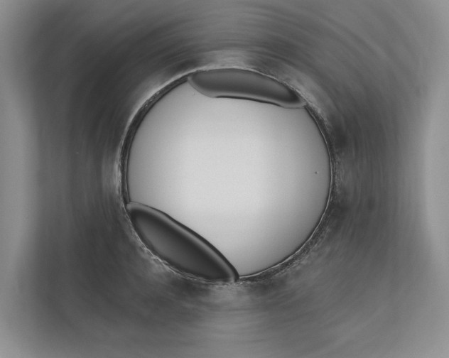 X0000110740944200906290945