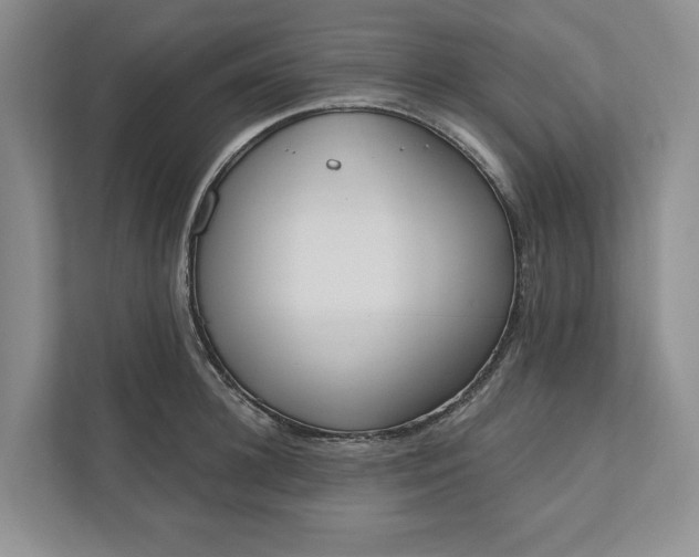 X0000110740948200906290945