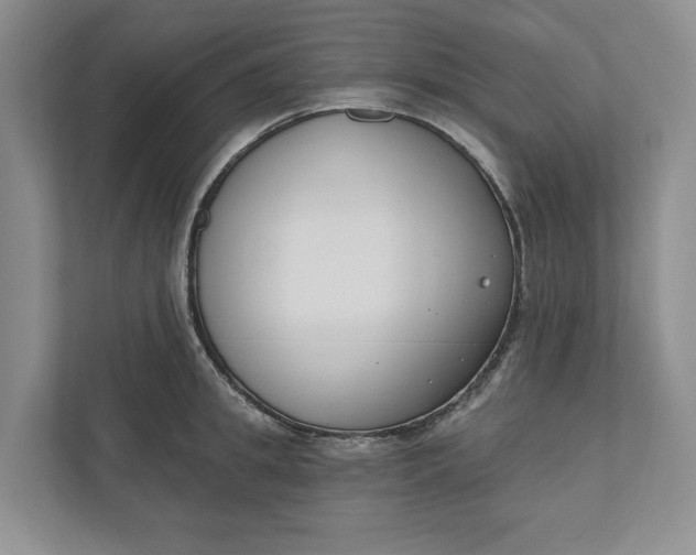 X0000110740949200906290945