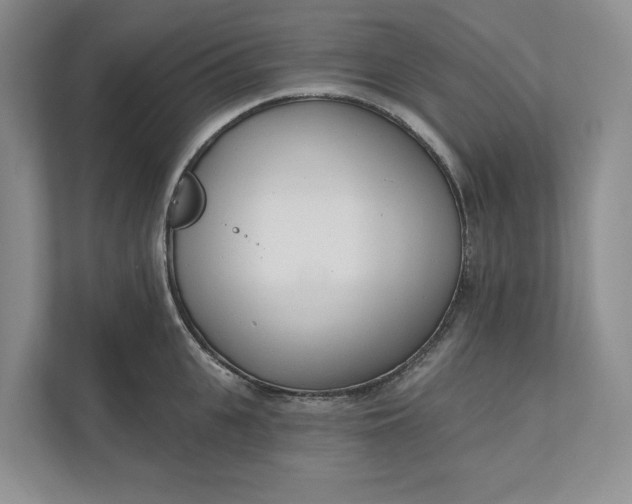 X0000110740951200906290945