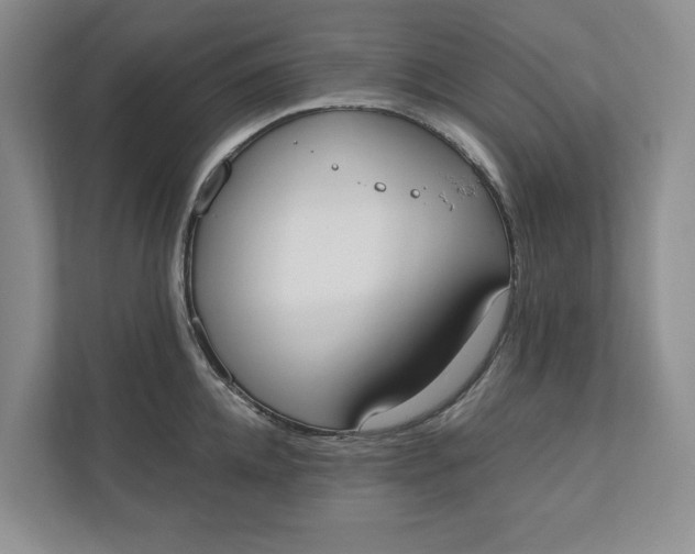 X0000110740952200906290945