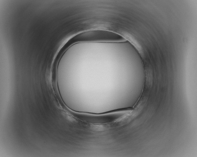 X0000110740956200906290945