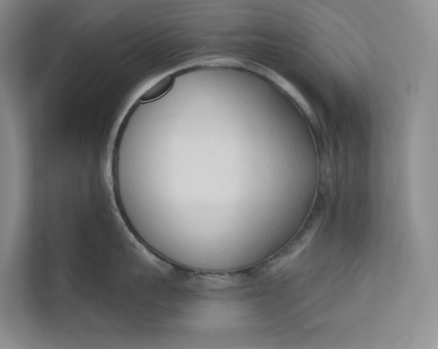 X0000110740959200906290945