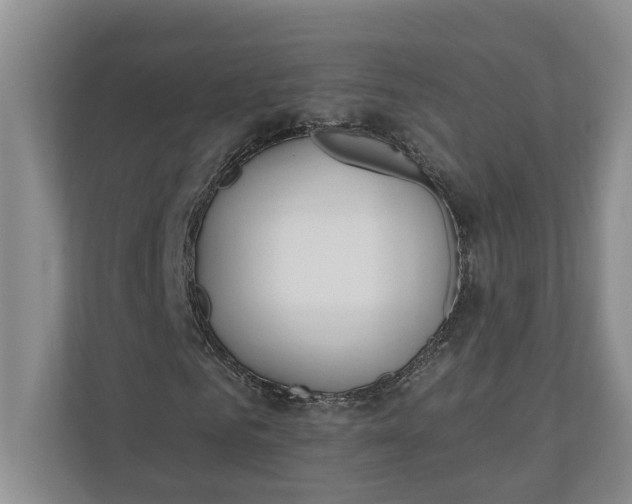 X0000110740961200906290945