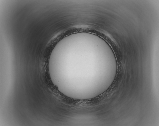 X0000110740967200906290945