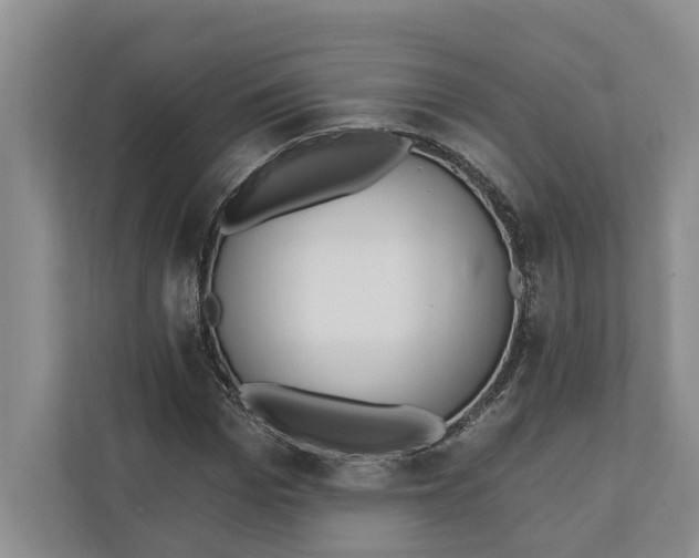 X0000110740969200906290945