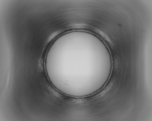 X0000110740970200906290945