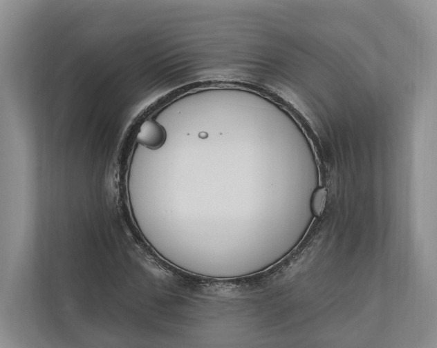 X0000110740971200906290945