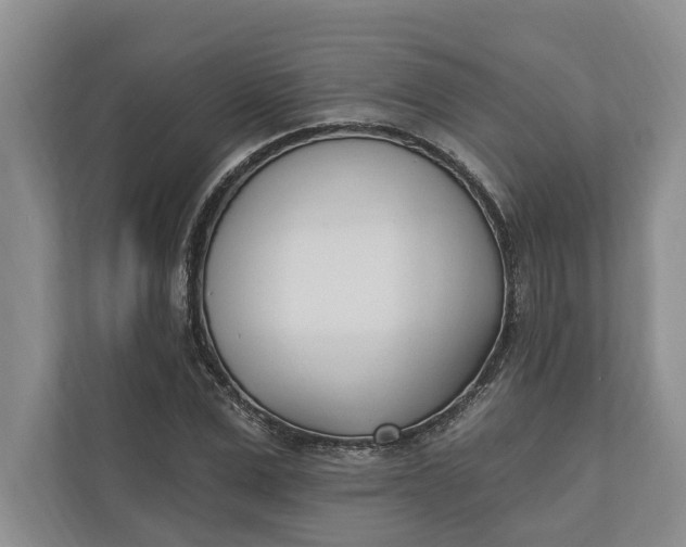 X0000110740975200906290945