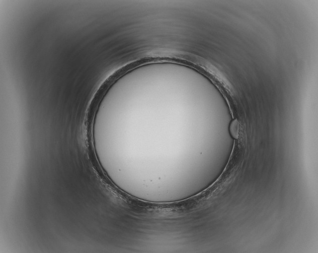 X0000110740976200906290945