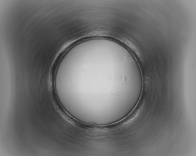 X0000110740981200906290944