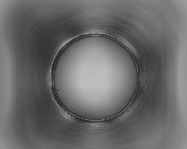 X0000110740988200906290944
