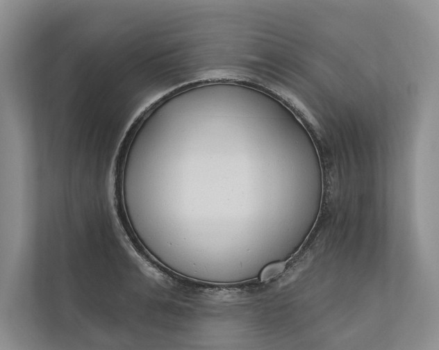 X0000110740991200906290944