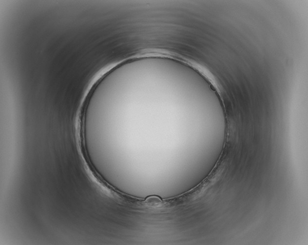 X0000110741003200906290944