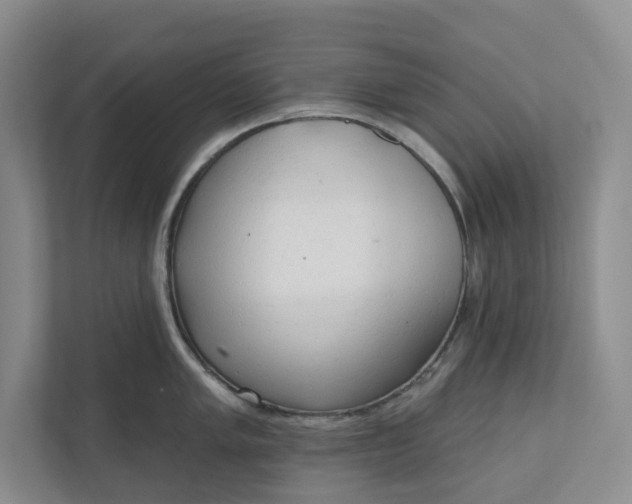 X0000110741005200906290944