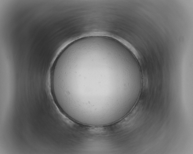 X0000110741006200906290944