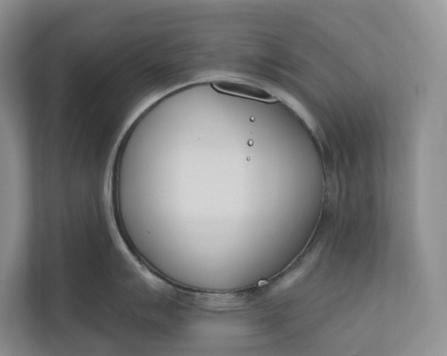 X0000110741007200906290944