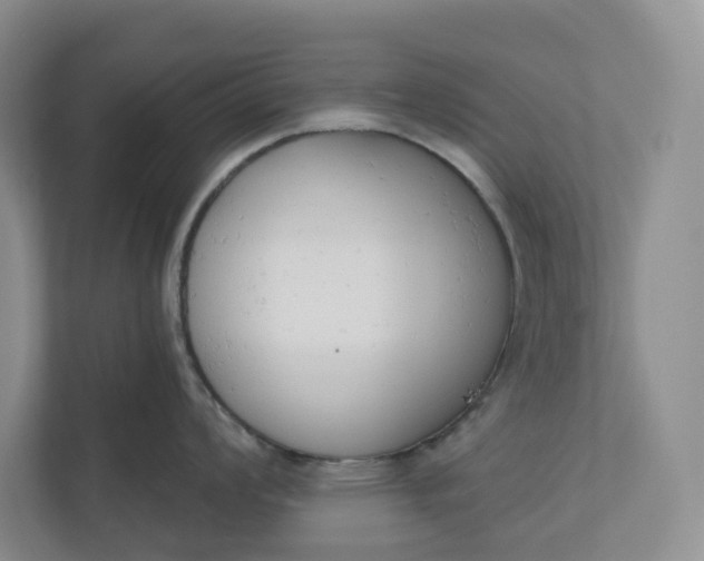 X0000110741008200906290944