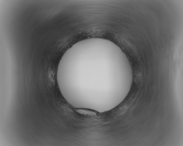 X0000110741010200906290943