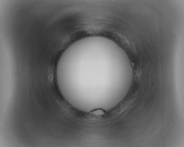 X0000110741012200906290944