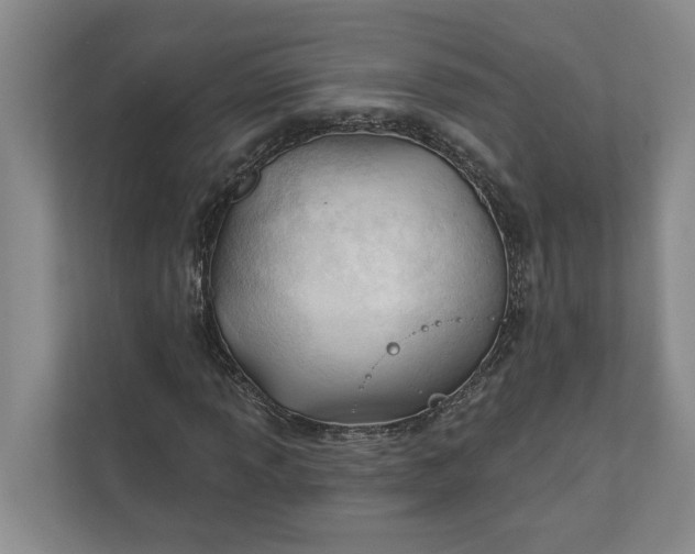 X0000110741013200906290944