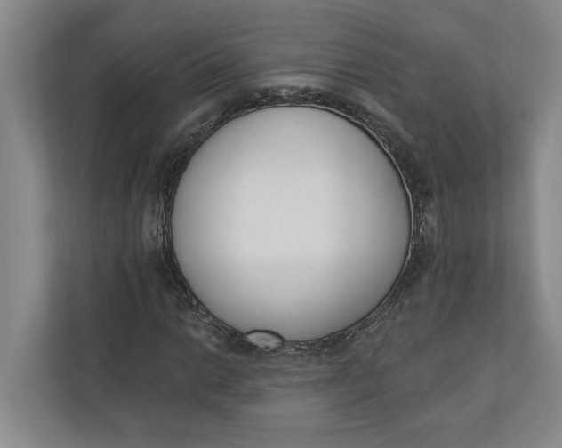 X0000110741014200906290944