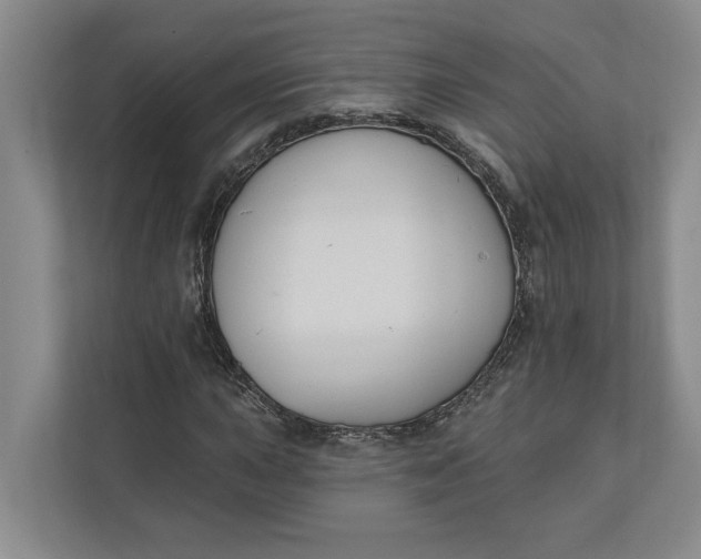 X0000110741015200906290944