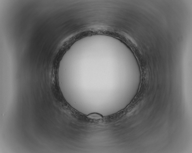 X0000110741016200906290944