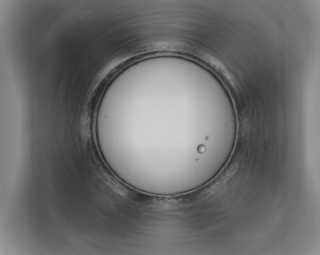 X0000110741019200906290944