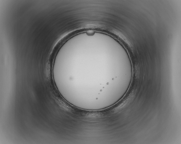 X0000110741021200906290944