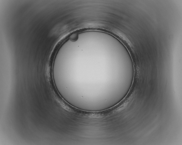 X0000110741029200906290944