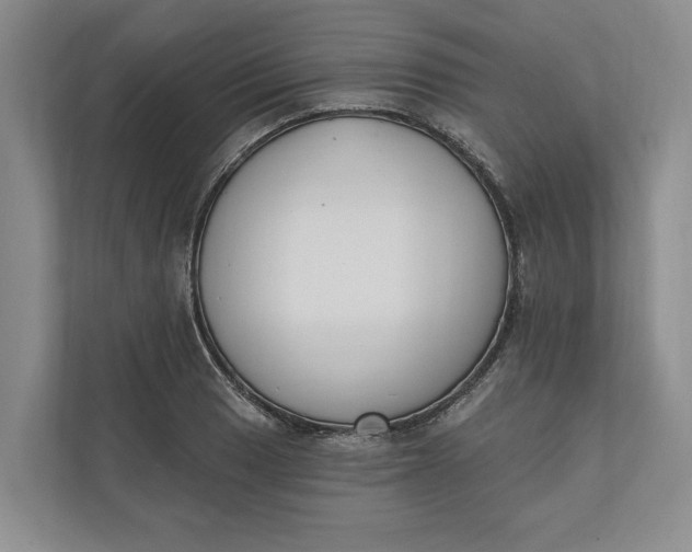 X0000110741033200906290944