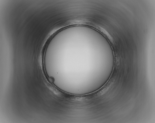 X0000110741035200906290944