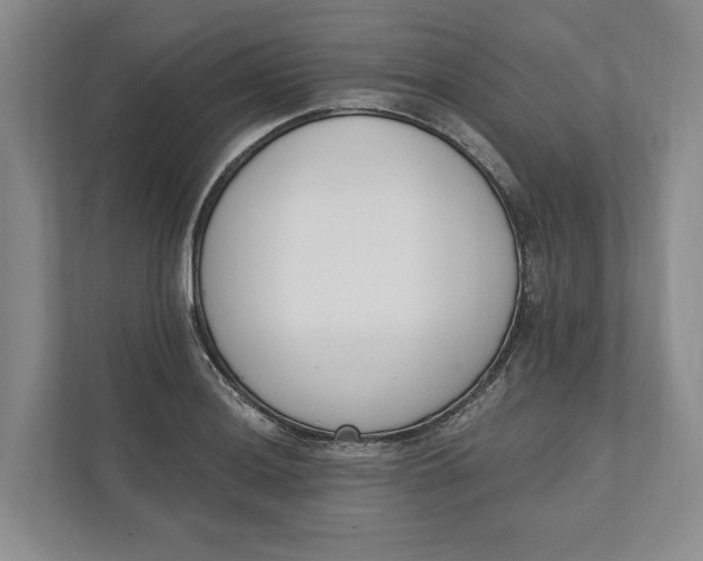 X0000110741036200906290944