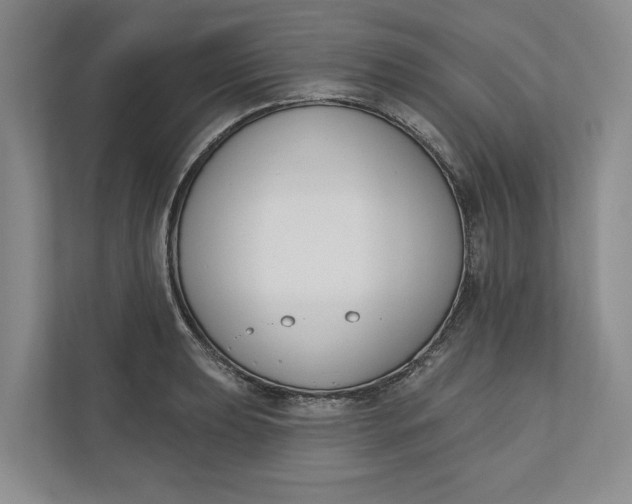 X0000110741039200906290944