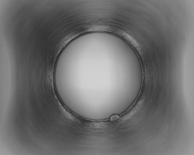 X0000110741041200906290944