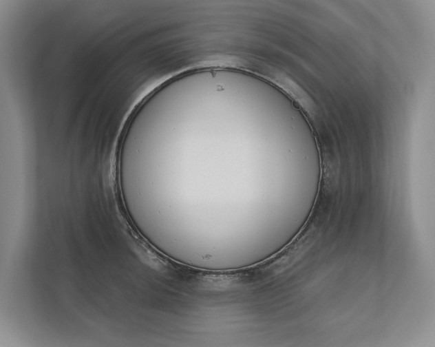 X0000110741044200906290944