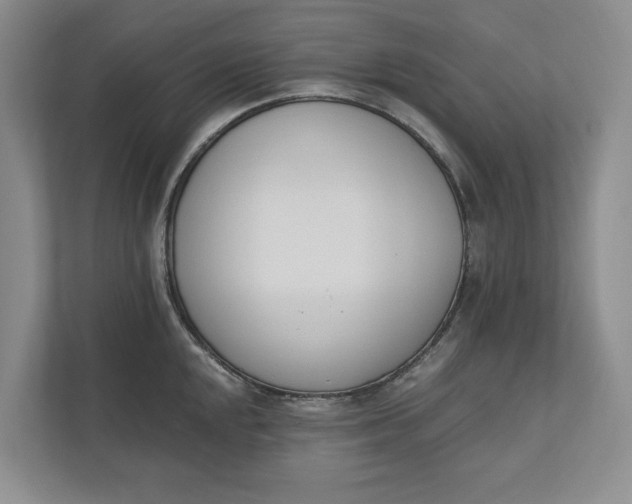 X0000110741048200906290944