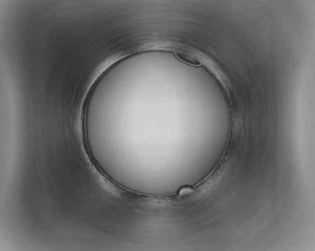 X0000110741050200906290944