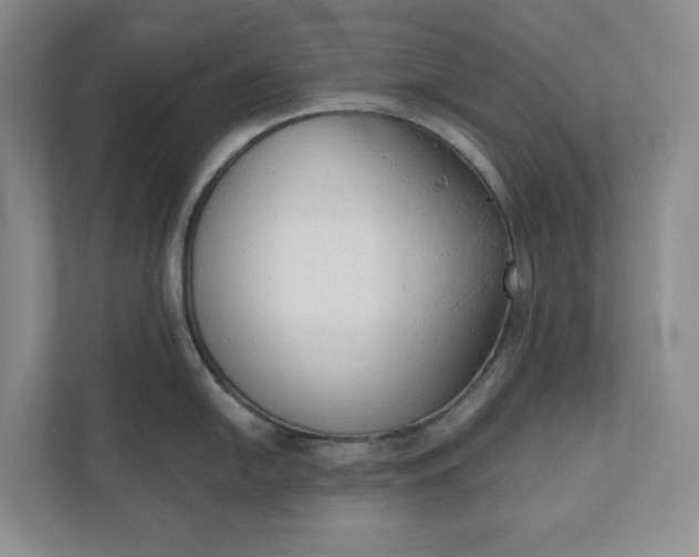 X0000110741054200906290944