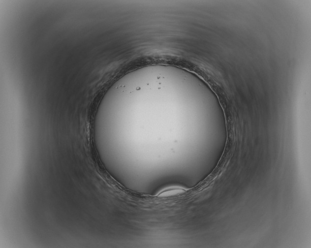 X0000110741061200906290943