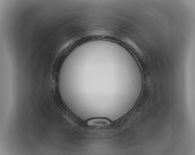 X0000110741064200906290943