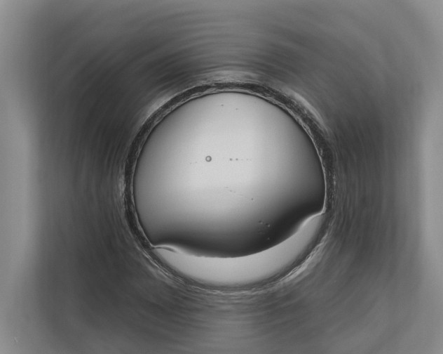 X0000110741065200906290943