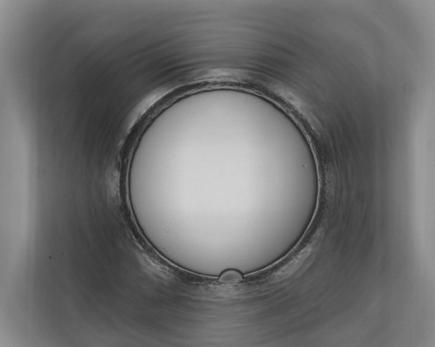 X0000110741066200906290943
