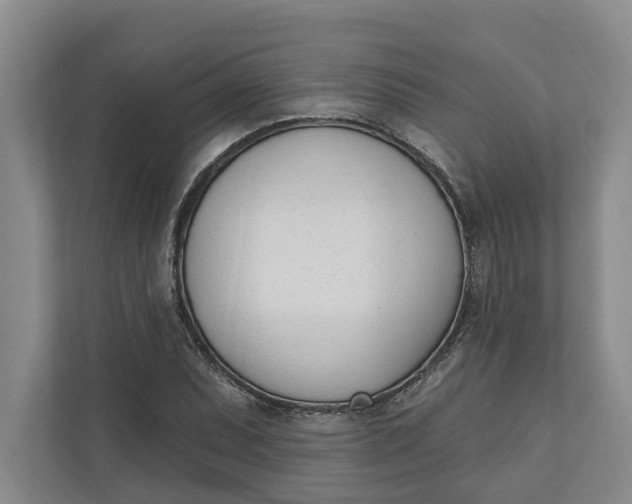 X0000110741071200906290943
