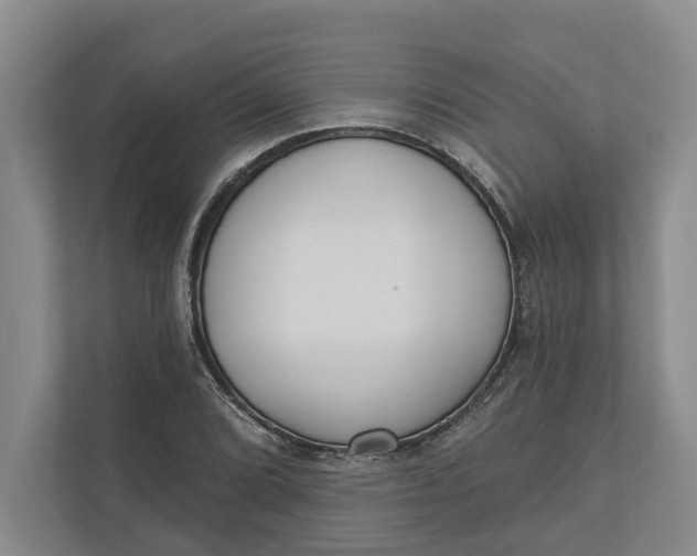 X0000110741072200906290943